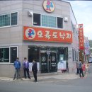 오륙도낙지 이미지