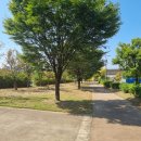 강연대 행정사 이미지