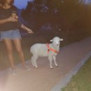 동무농장 이미지