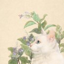 보름당 네이버블로그