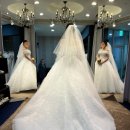 DS(디에스)호텔 | [W.10] 동해 현진관광호텔 DS웨딩 본식 드레스 피팅 후기