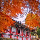 파동波動