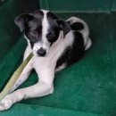 월포초등학교 이미지