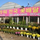 해피주유소 이미지