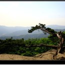 잣나무골 이미지