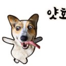 유성농원 이미지