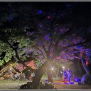 동호솔숲 이미지