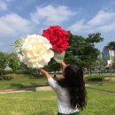일랑플라워