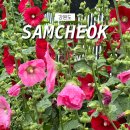 씽쏭코인노래연습장 | 강원도 삼척 동해 1박 2일 이야기