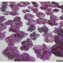 꽃차와 산야초 이미지