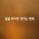 꿀물 - 부산진구 서면로 29-10 | 꿀물