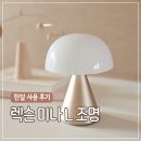 달아래면 | 렉슨 미나 L 골드 한달 사용 후기 | 집들이 선물 추천 무선조명 밝기 사이즈 솔직 리뷰