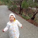 팬션민박 이미지