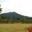 창원단감테마공원 이미지