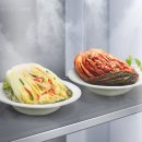 김치로L 이미지