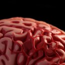 11545-02-35-34 이미지