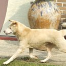 우리두리농장 이미지