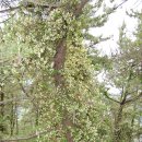 선구보건진료소 이미지