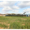 녹색한우농장 이미지