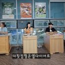 더핏 점핑&온열