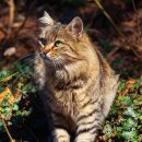 초읍동물병원 이미지