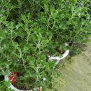 지축주유소 이미지