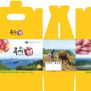 동문기획인쇄