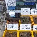 울산북구정자활어직매장A-10 성민이네 금일시세및 어종