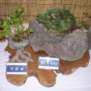 동의중학교 이미지