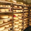 예찬목장 이미지