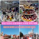 행복한추억 | 판교 디즈니스토어 LA 디즈니랜드 여행기 아기와 함께한 행복한 추억
