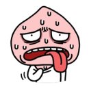 오렌지비디오