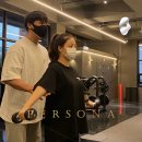 페르소나 피티샵 이미지