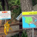 도원분식 티스토리