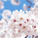 대왕수천 이미지