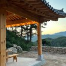 소나모나 이미지