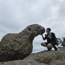 덕산 | 전남 신안 비금도 배편 떡메산 덕산 고도 81m 완등 여름 산행 후기