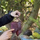 영돌농장 이미지