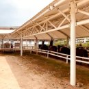 장수승마장 이미지