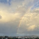 (주)아트쉐어 | 뉴질랜드 어학연수 후기｜수업 적응부터 기숙사 생활까지 솔직 기록