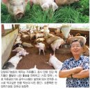 단양유기농원 이미지