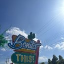 보니타펜션 | 변산반도 펜션 부안 보니타카라반 수영장 펜션 솔직후기