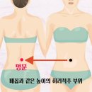 자연치유쑥뜸