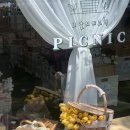 부산진중학교 | BUSAN : 부산 시민공원에서 피크닉 데이트 | &#39;그날의 피크닉&#39; 대여 후기