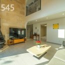 어뮤즈 545 이미지