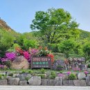 미산가족오토캠핑장 이미지