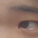 N안경콘택트 이미지