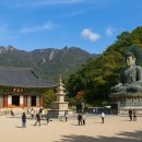 신흥사대웅전 | 강원도의 자연과 불교가 어우러진 절경, 설악산 신흥사와 낙산사