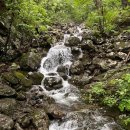 해오름산악회 제194차 지리산 (중산리- 성삼재)종주 안내 이미지