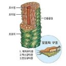 예지약국 | 서면미용실추천 서면여자미용실 윤기나는긴머리 스페셜클리닉 준오헤어 서면부전점 리얼후기
